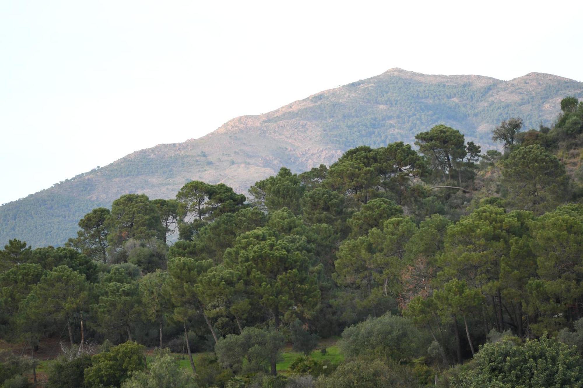 Hermosa Casita De Pueblo Con Piscina En Benahavís Εξωτερικό φωτογραφία